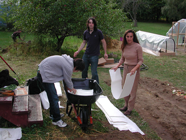 Sheet mulching with cold frame and greenhouse in background Sheet mulching with cold frame and greenhouse in background