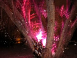 Aurono Borealis: a Life Art event at LongGreenHouse, January 2011