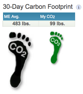 Coho Energy Monitor 1